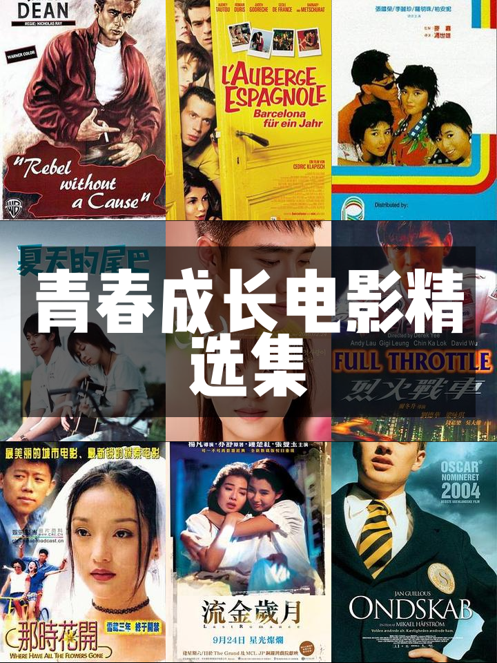 开云入口-关于点滴回忆：从菜鸟到超级巨星的成长故事的信息