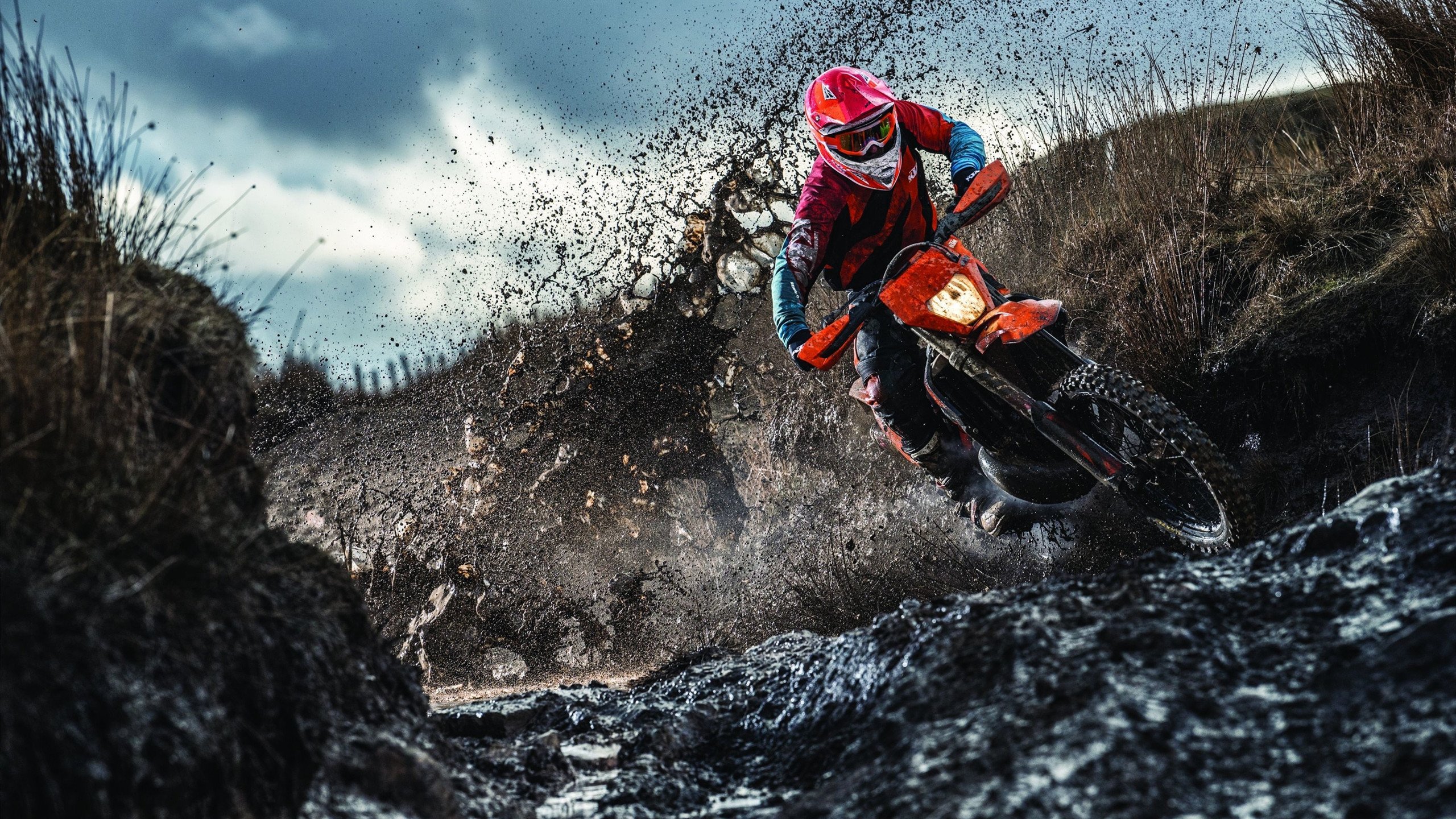 _魔术队攻防兼备，连续获胜_，魔术队伤员